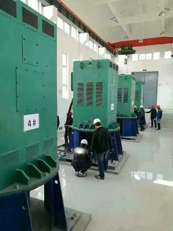 郯城某污水处理厂使用我厂的立式高压电机安装现场